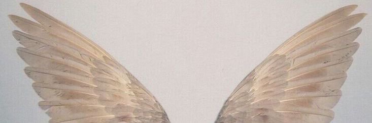 Fatemeh's banner
