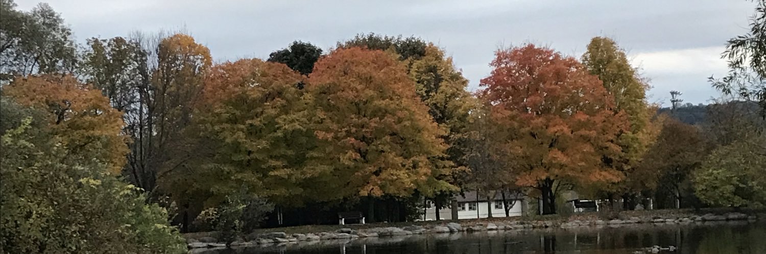 AmyDCronin's profile banner image
