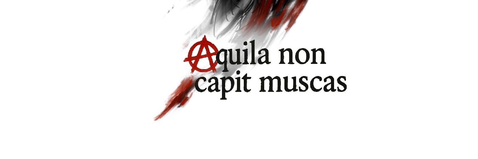 USonm3z's profile banner image