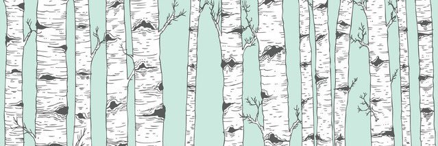 Hannah Berchtold banner