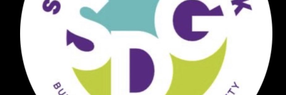 sdg5network banner