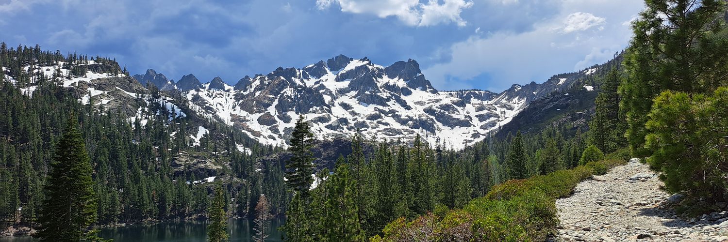 Andrew Schwartz banner