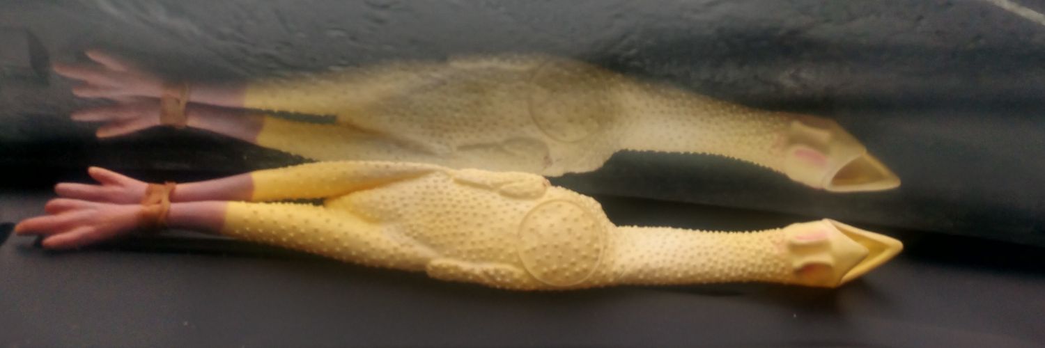 drewduncan's profile banner image