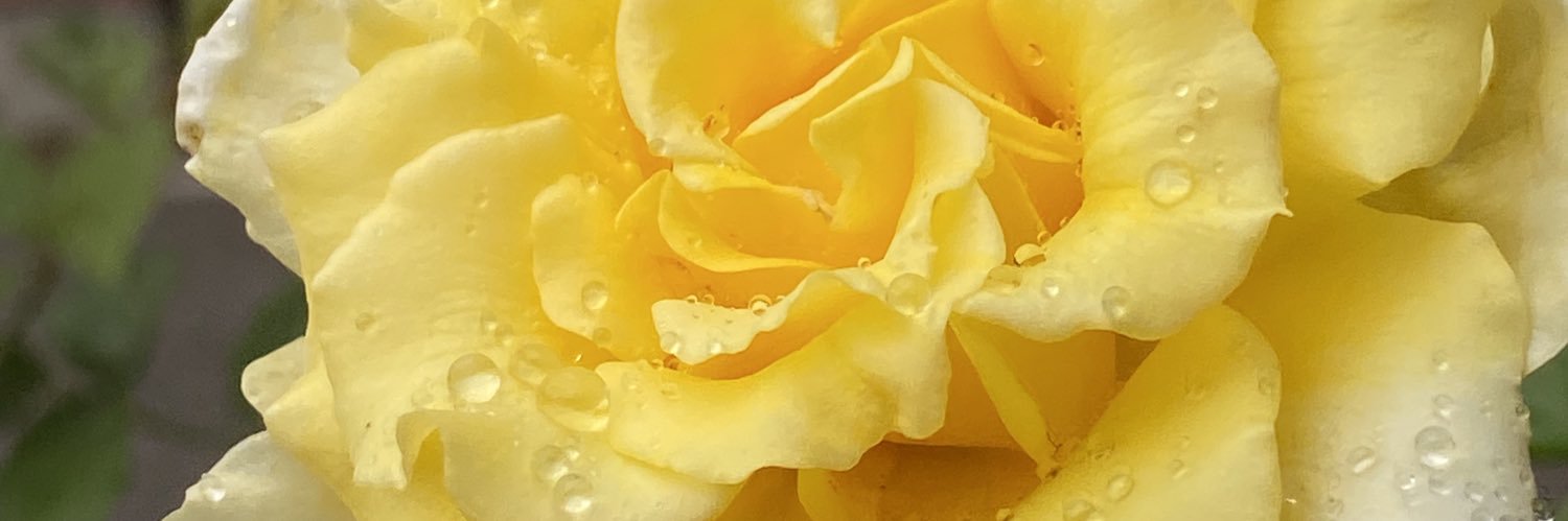 Jrl0625's profile banner image