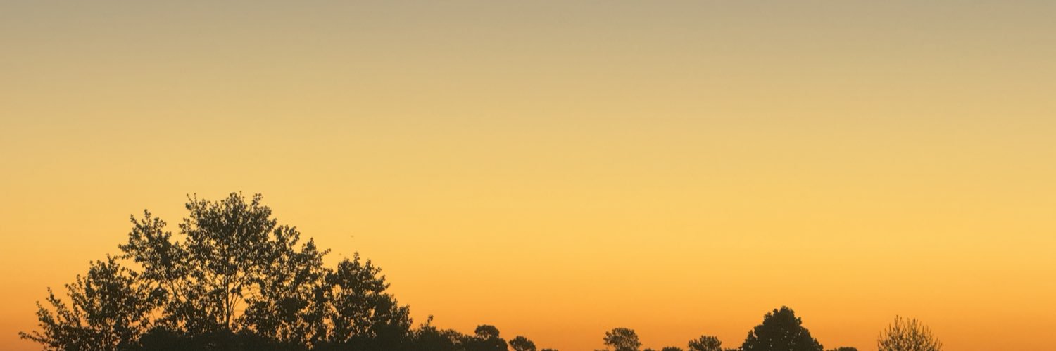 d-Lo 🇺🇸 banner