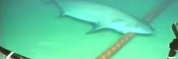 Bedri Baykam'ı arabasına almayan adam banner