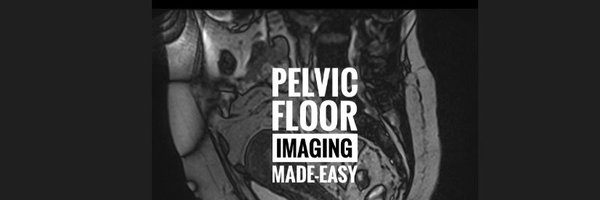 PelvicMRInsight Profile Banner