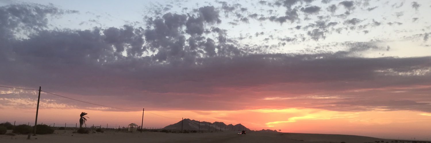 adrienereavis's profile banner image