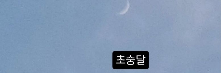 여름's banner