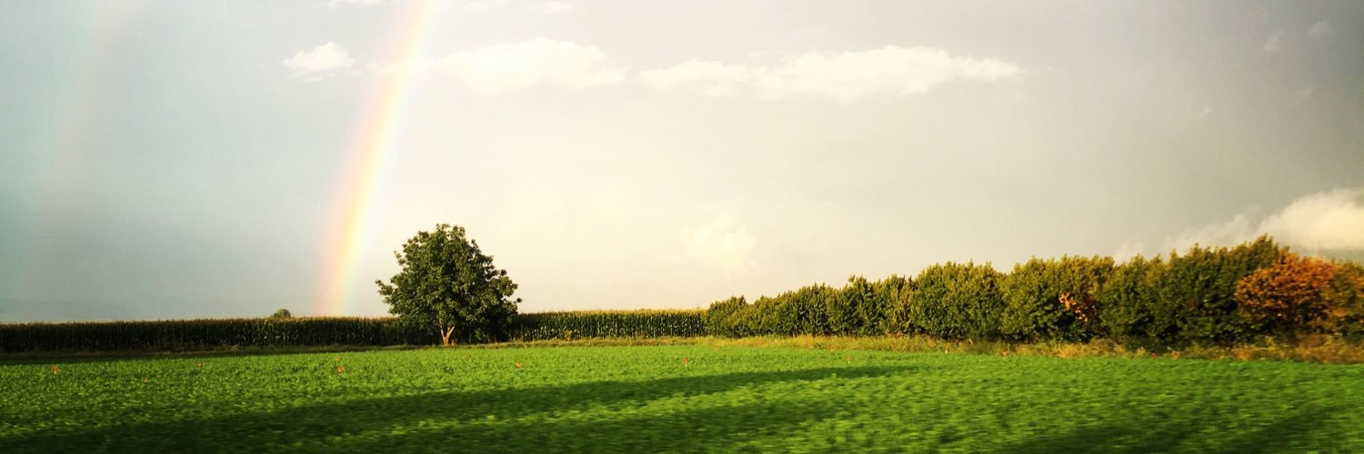 MeteHanOzbil's profile banner image