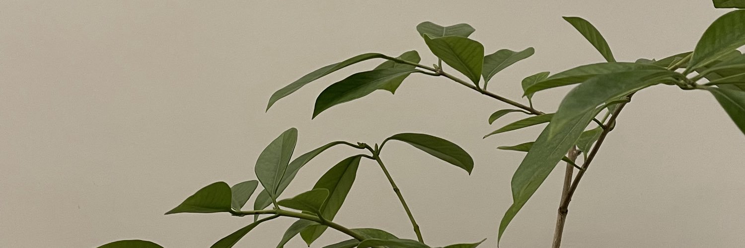 roundlap_'s profile banner image