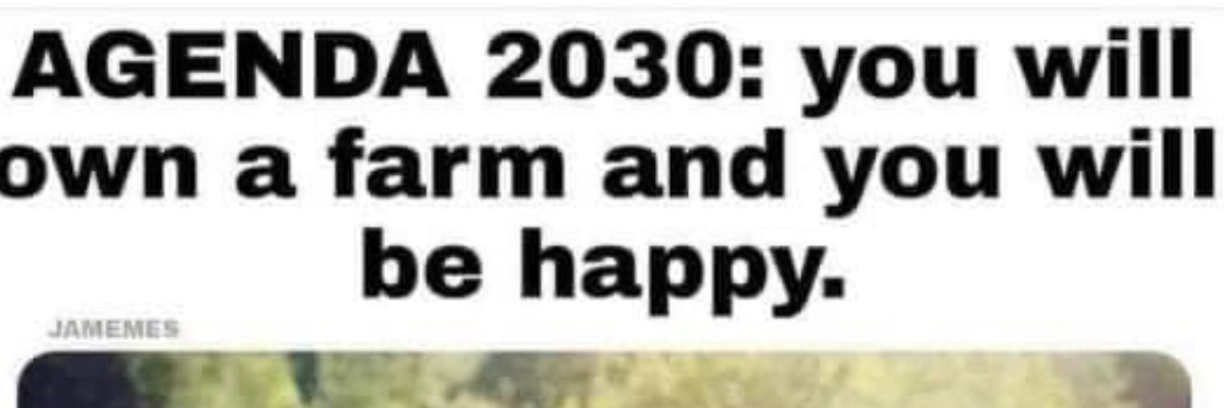 Samantha Starkey banner