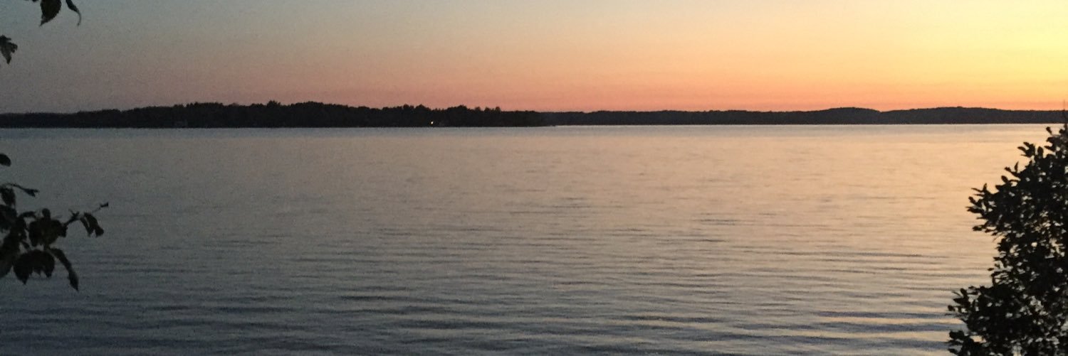 robdaily's profile banner image
