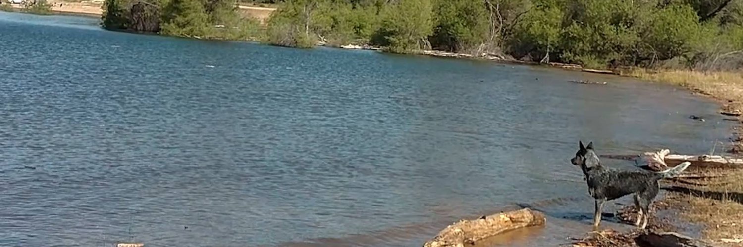 locatejody's profile banner image