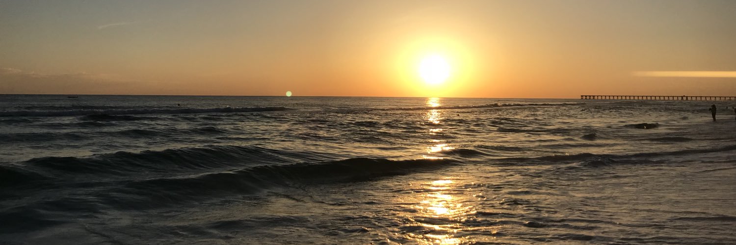 Madison_Young_'s profile banner image