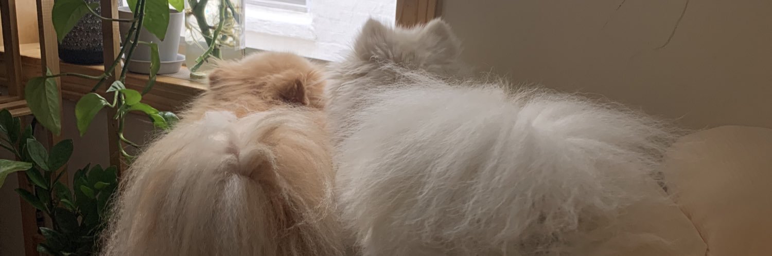 picaaa's profile banner image