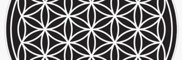 Morphicvibes Profile Banner