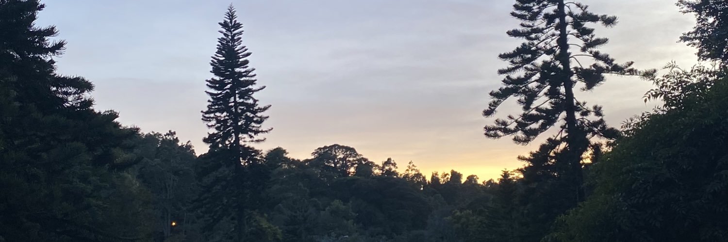 Its_Silkys's profile banner image