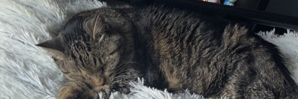 hayleyypearson's profile banner image