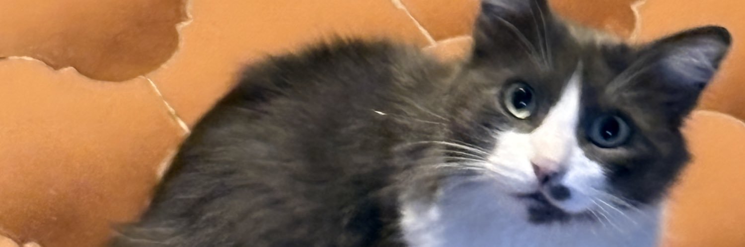 jessrodord's profile banner image
