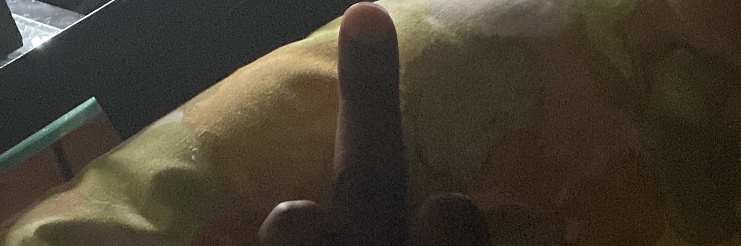 ntgbleech's profile banner image