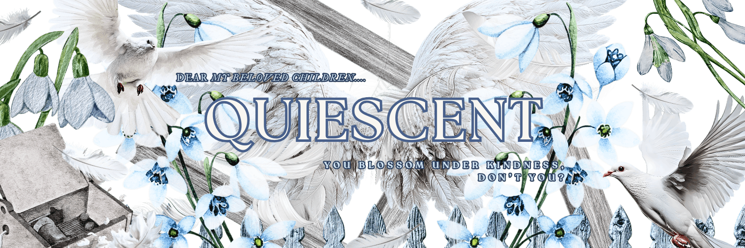 𝑬𝑳𝑰𝑶. banner