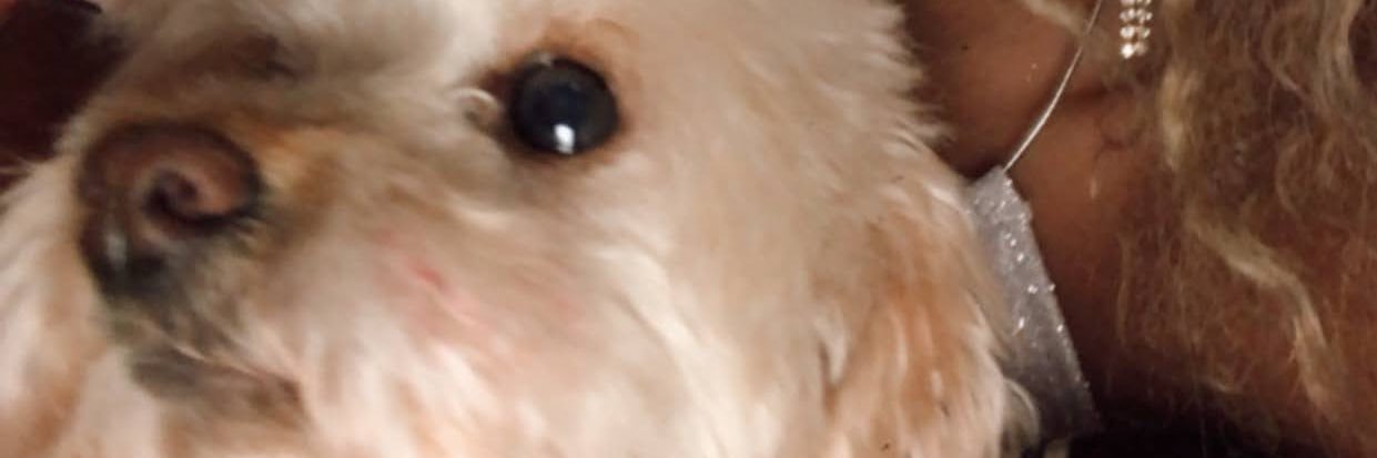 Karolan6's profile banner image