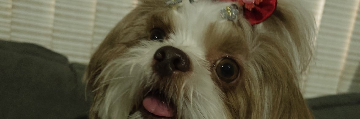 najuklein's profile banner image