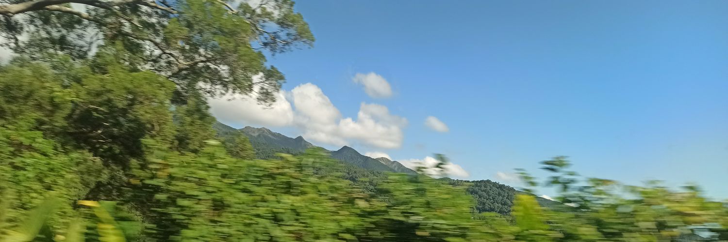 happyhipo_'s profile banner image