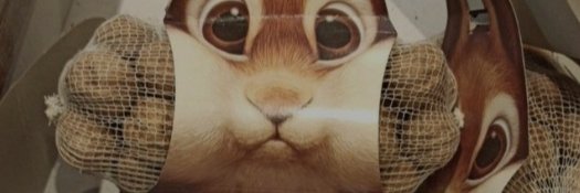 RockedRabbit's profile banner image