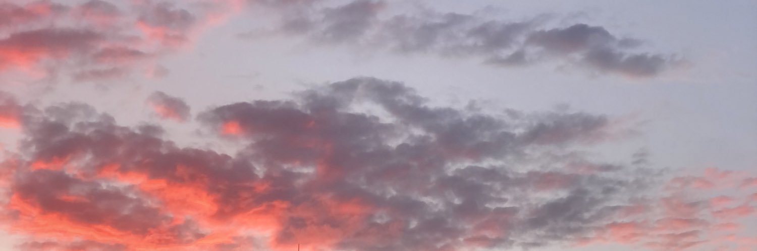JustAnIdiot_'s banner