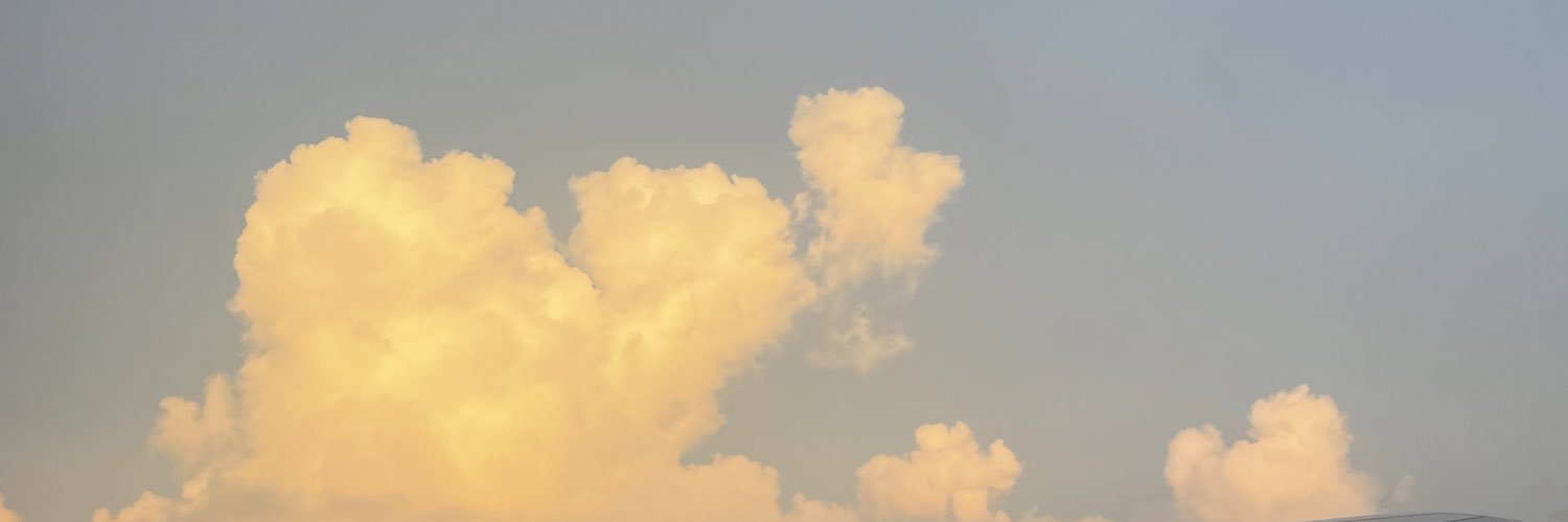 dwalshcupcake's profile banner image