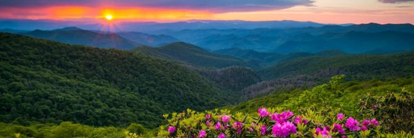 Anthi_Velagala Profile Banner