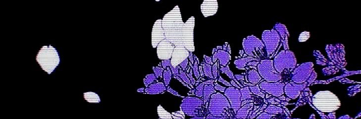 - - CASCA ! / / 𝙛𝙤𝙪𝙡 𝙩𝙖𝙧𝙣𝙞𝙨𝙝𝙚𝙙 banner