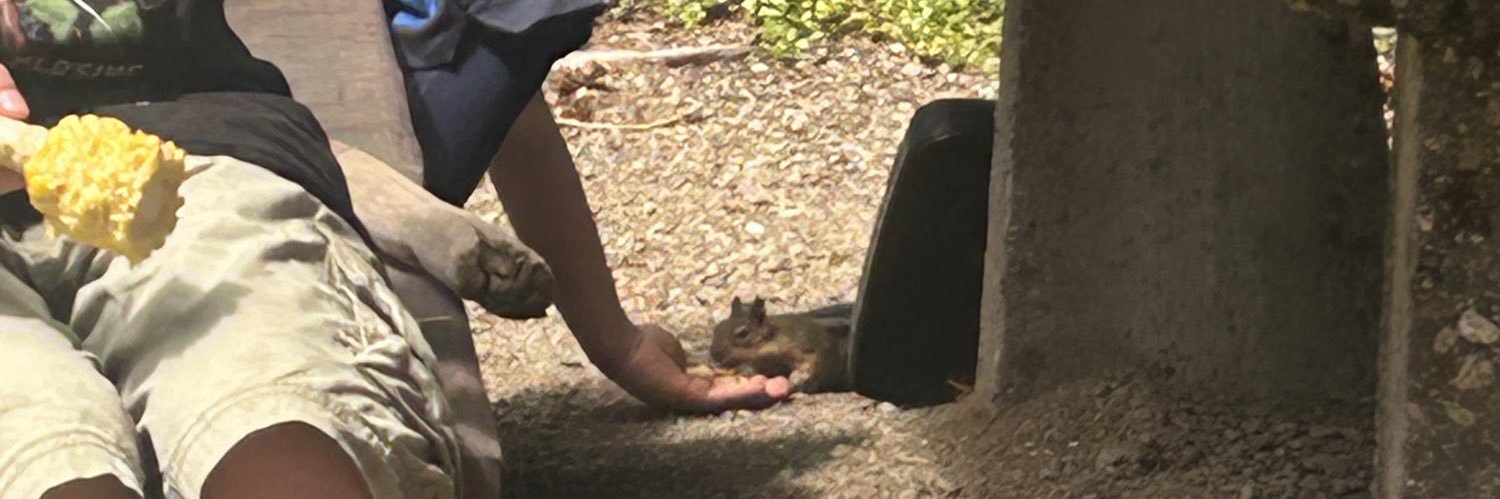 Dragon Hit Box banner