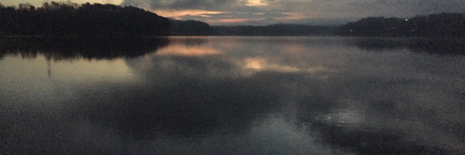 PatrikHenryBass banner