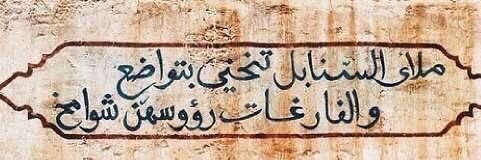 الأدب العربي's banner