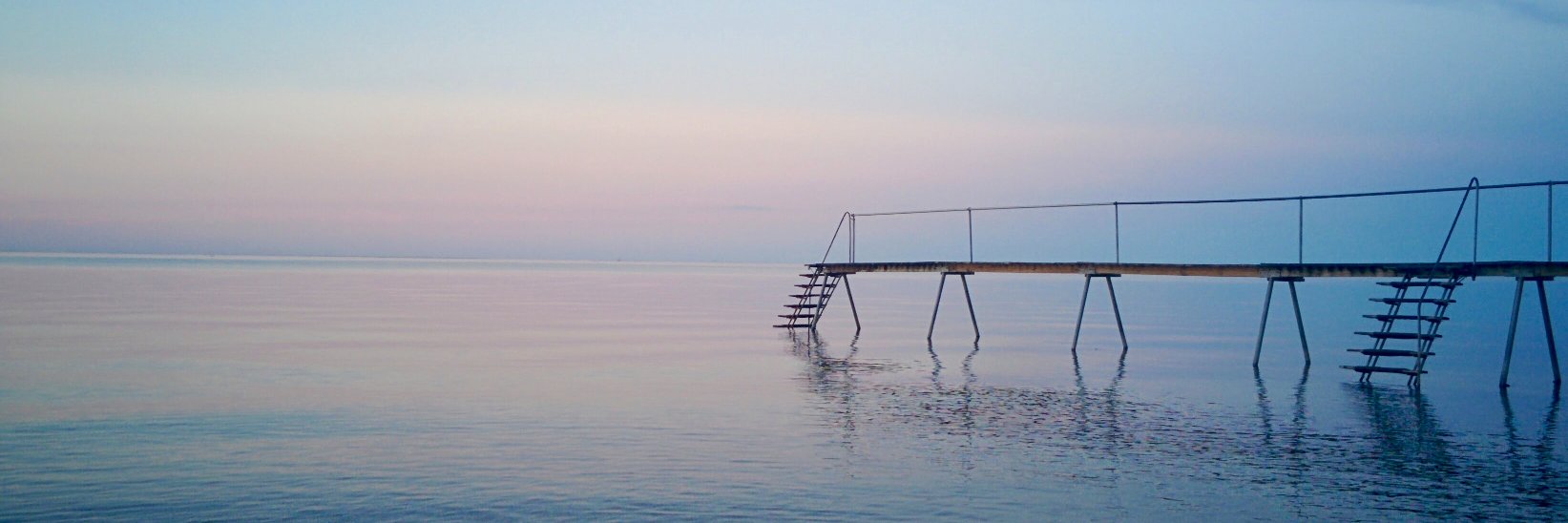 Signe Hollensen banner