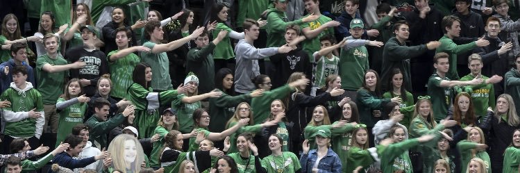 Edina HS Fan Section banner