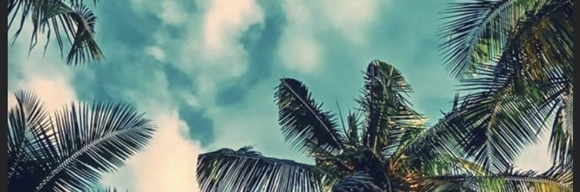 kidanyrod's profile banner image