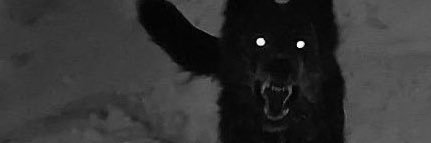 totiredforthis3's profile banner image