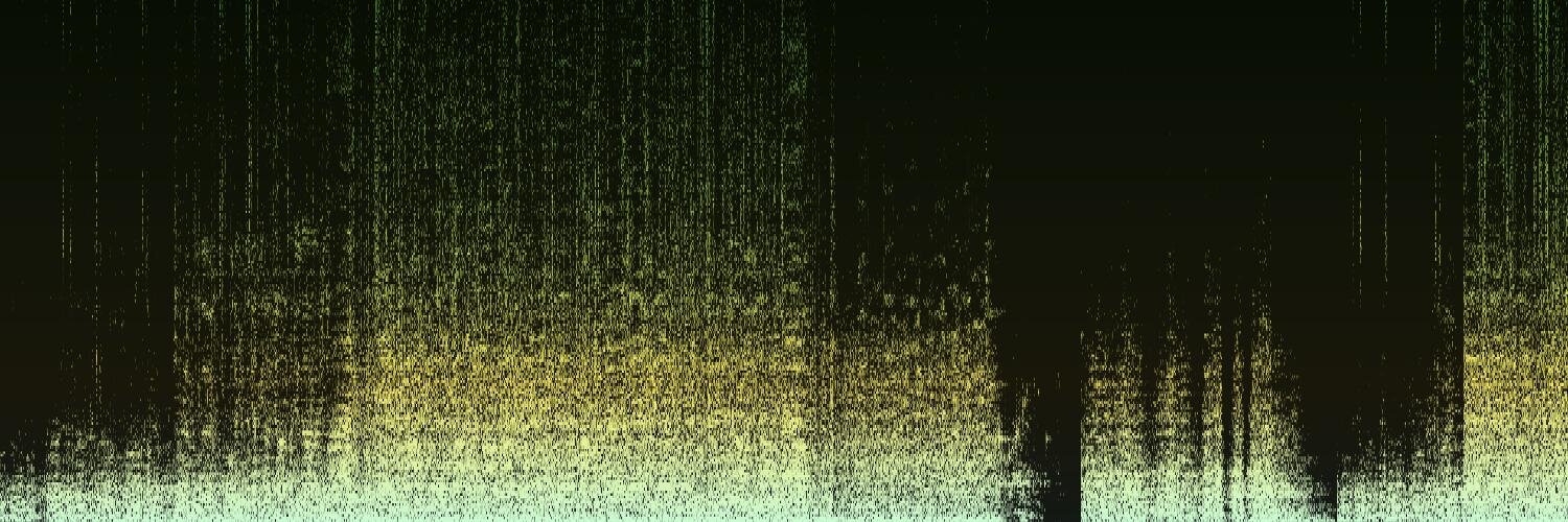 dtauer's profile banner image