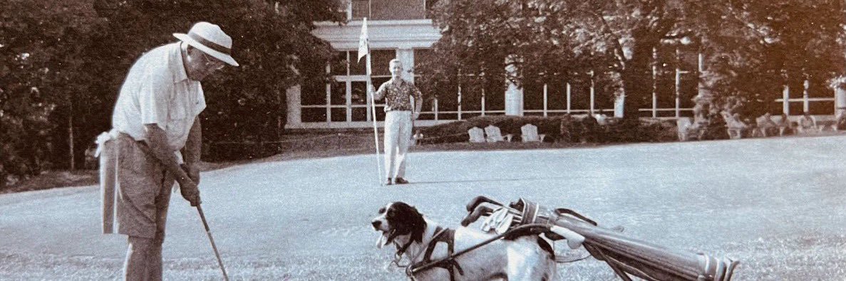 Taylor Calandro banner