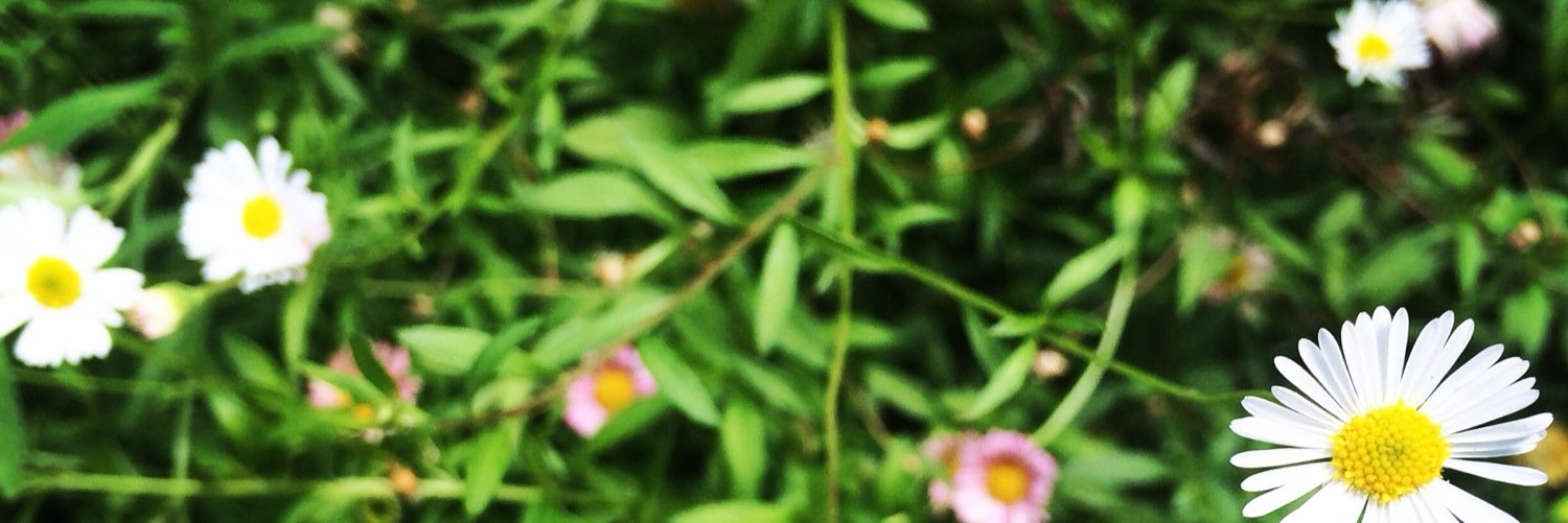 nanamilky07's profile banner image