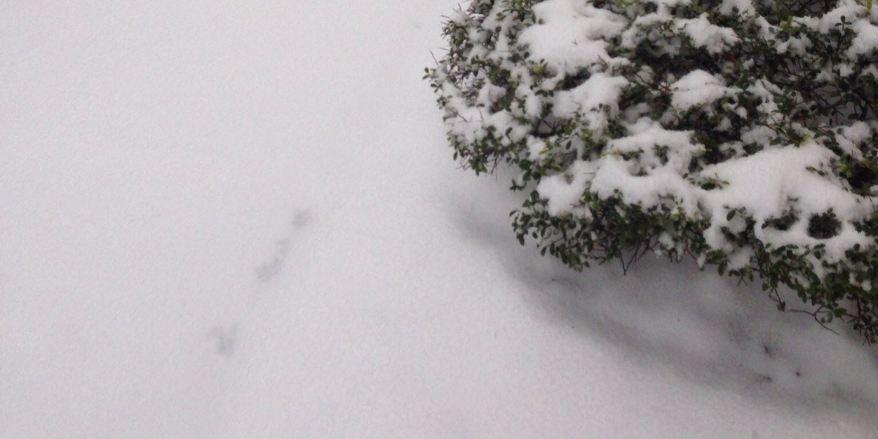 patozd's profile banner image