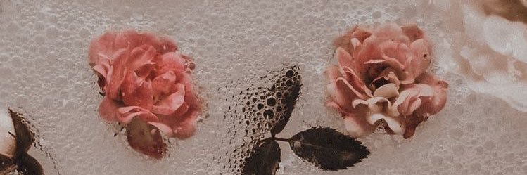mariahlopez01's profile banner image