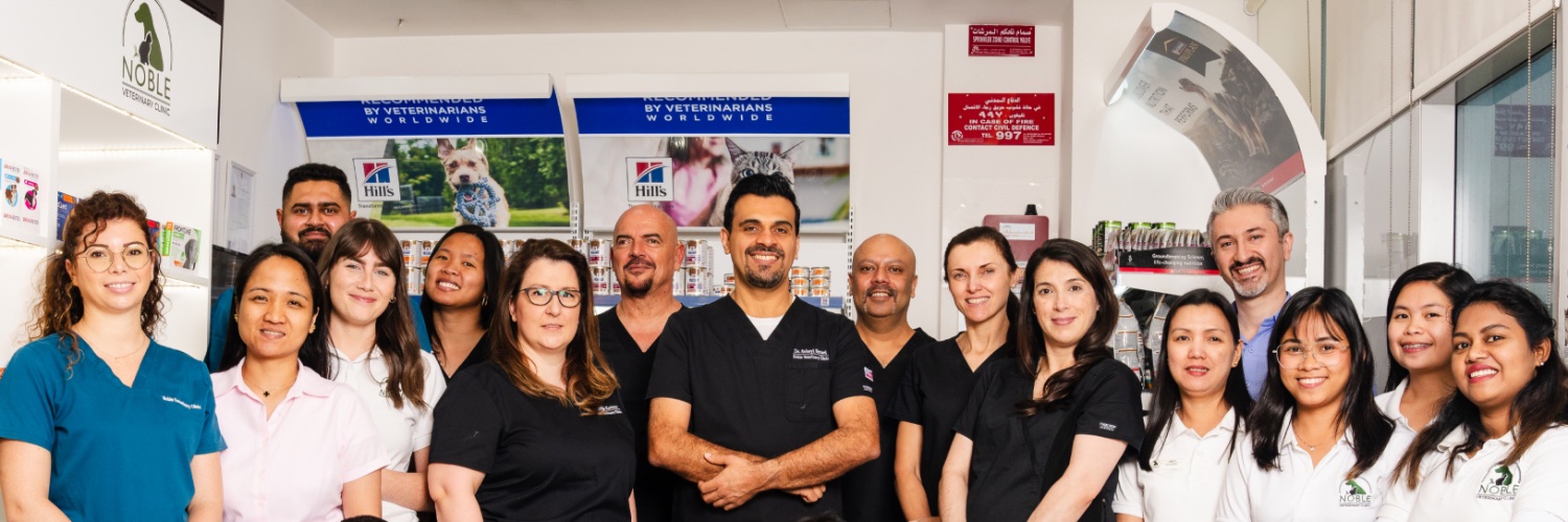 nobleveterinary's profile banner image