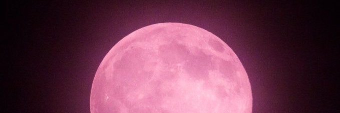 dracupinkpink's profile banner image