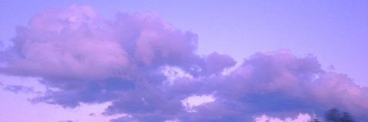 venicethmenace's profile banner image