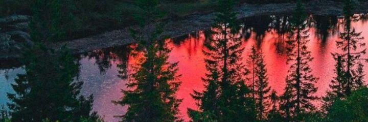 Rociofern_'s profile banner image